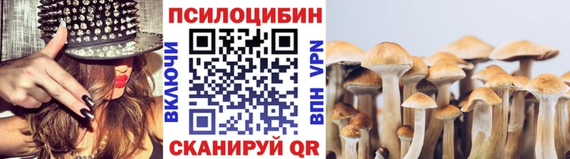 наркота  кракен маркетплейс  Галлюциногенные грибы мицелий  Новая Ляля 